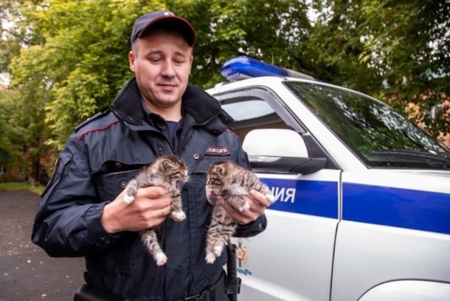 Отказавшаяся надевать маску девушка, обвиняется в том, что покусала полицейского