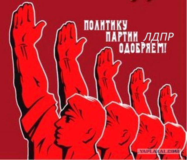 Жириновский предложил открыть в крупных городах публичные дома.