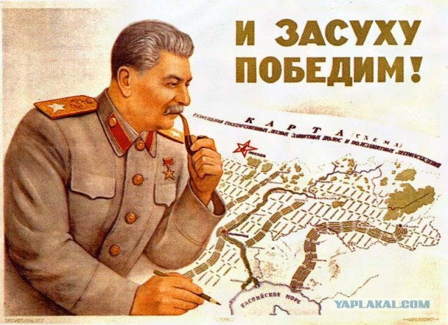 Доисторическое дерево-монстр