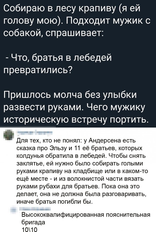 Картинки и мемы для настроения 29.06.2021