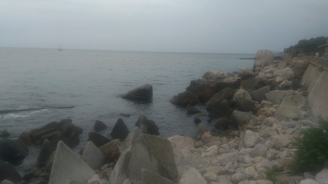 Дорогая, а поехали на море?