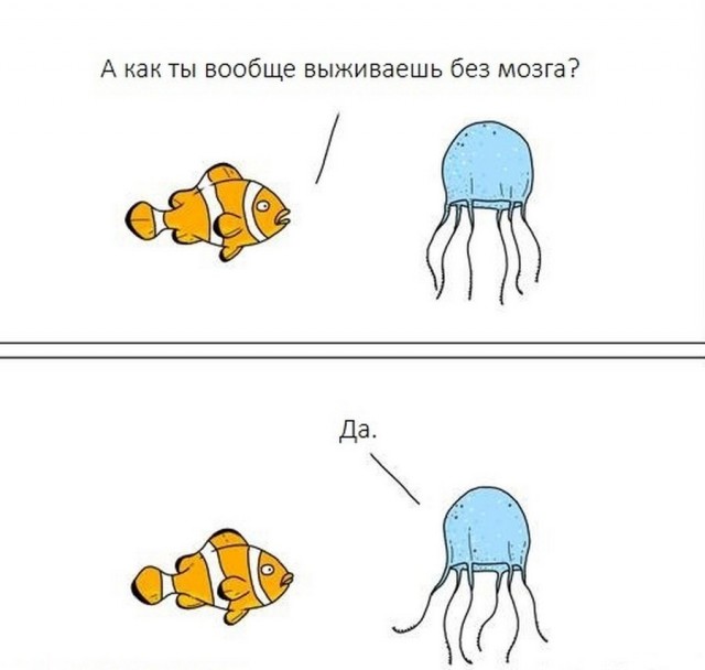 Картинки и мемы для настроения