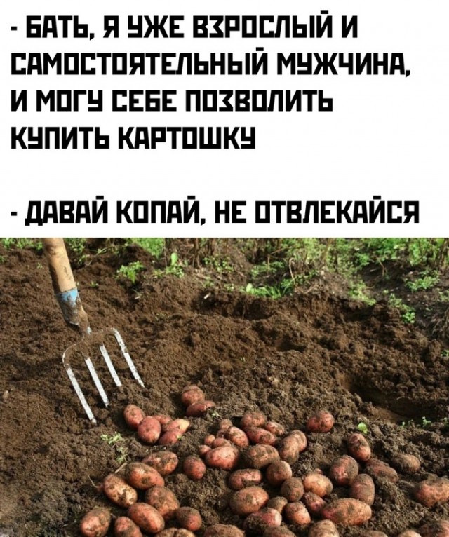 Картинки и мемы для настроения 003
