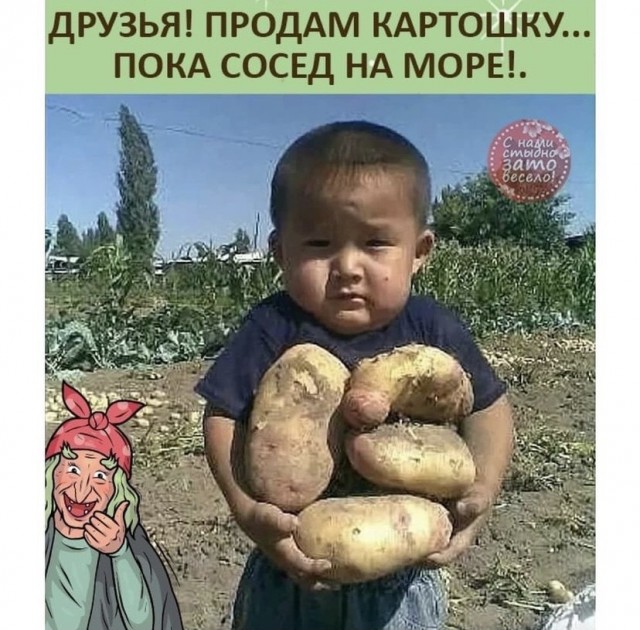 Так себе картинки 12.09.21