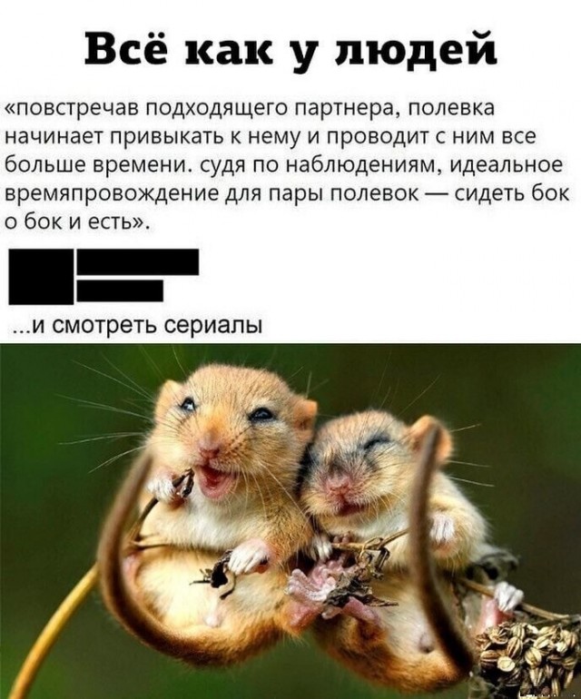 Картинки и мемы, всем прекрасных выходных