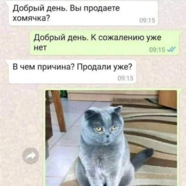Так себе картинки 29.03.22