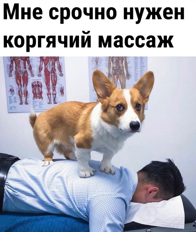 Так себе картинки 17.07.22