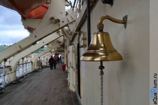 СПб глазами уставшего туриста...