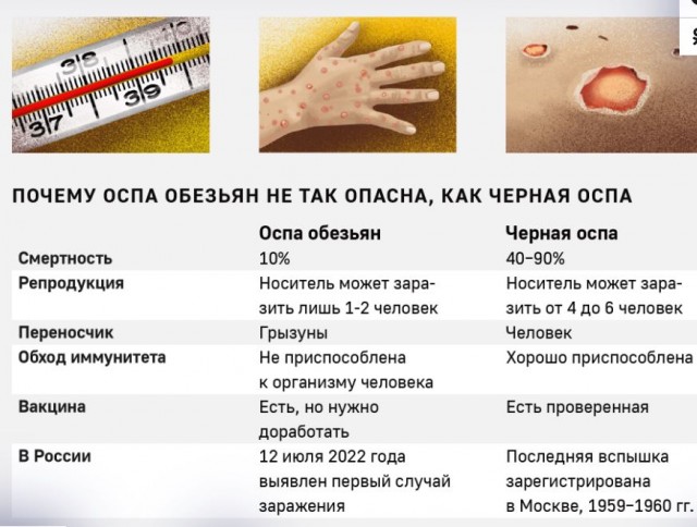 Пандемия съехавших крыш - разновидности болезни. Россия и мир. Часть 39.