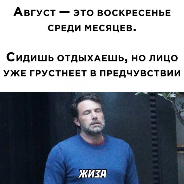 Весёлый полтишок 15.08.22