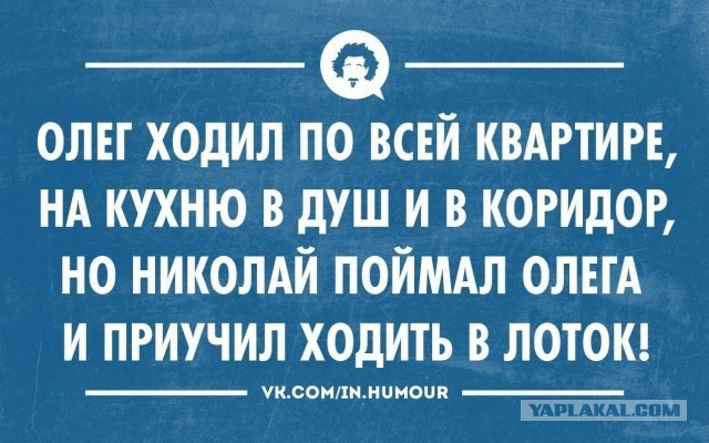 Олеги все такие⁠⁠