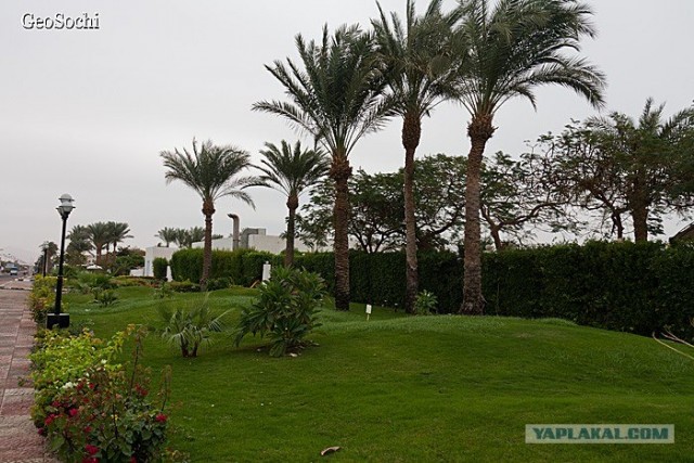 Синайские приключения. Шарм-эш-Шейх и окресности