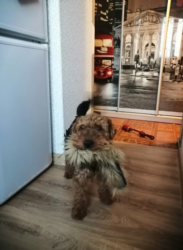 Чуть припоздал