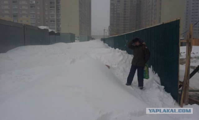 23 марта. Киев. Весна.