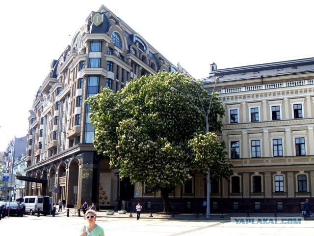 Мыльница