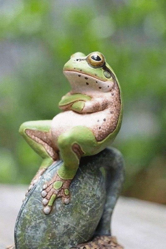 Чудо. Конкурс Коротких Креативов № 28.  На Старт!