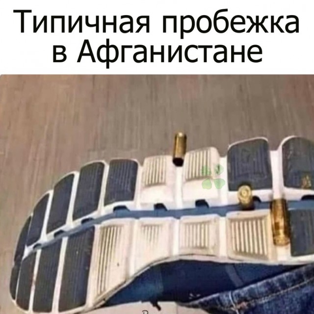 Весёлый полтишок 29.08.23