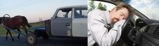 Операция «Антидачник»: на чьей стороне ты?