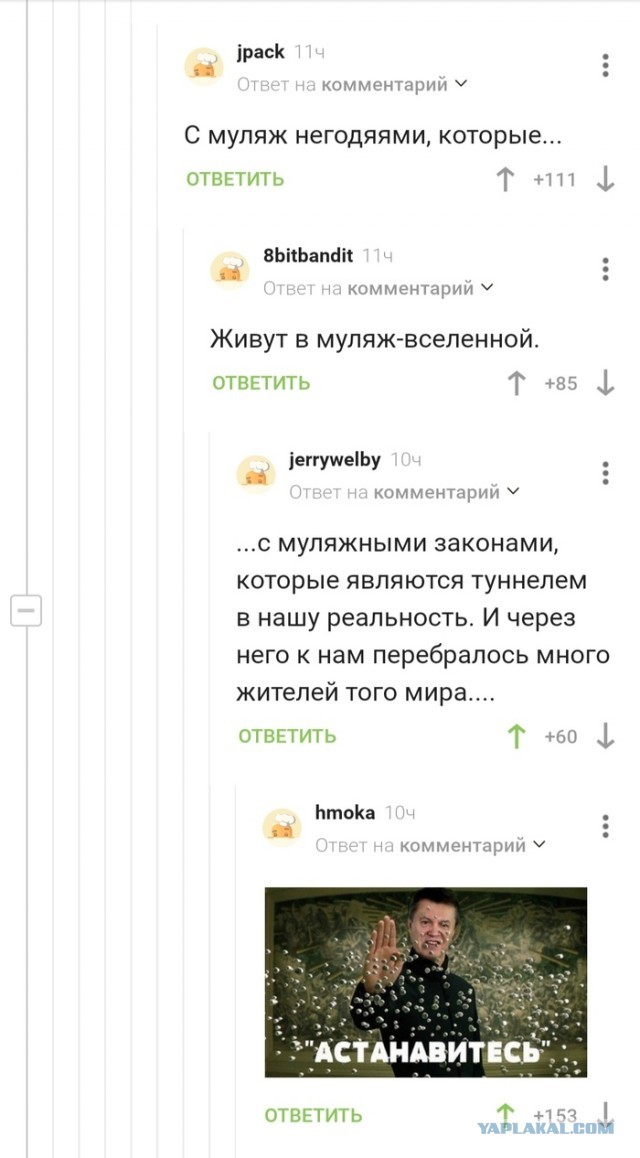 MyDuck ли я?⁠⁠