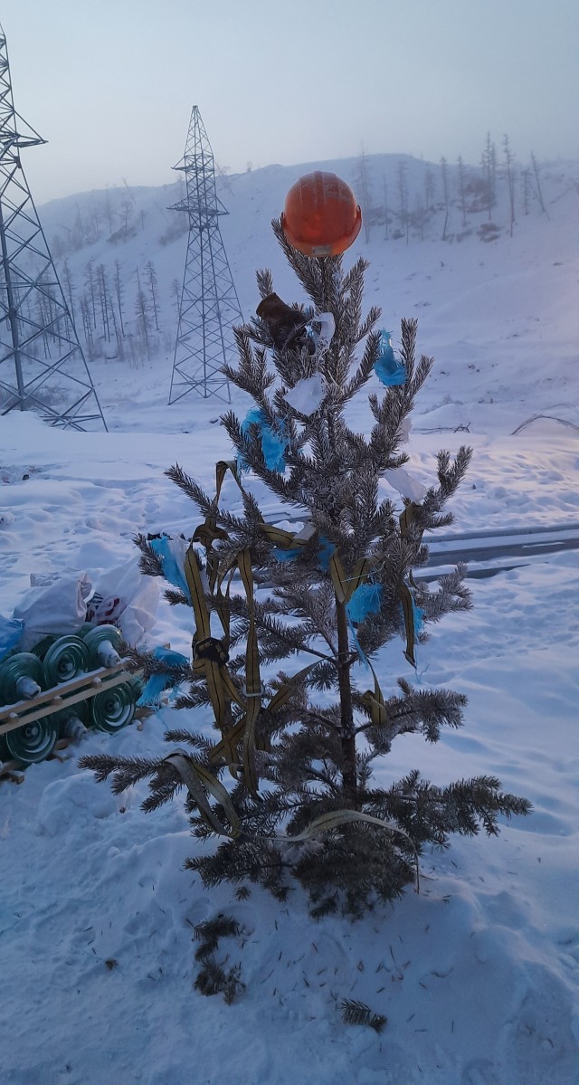 Показываем свои деревья