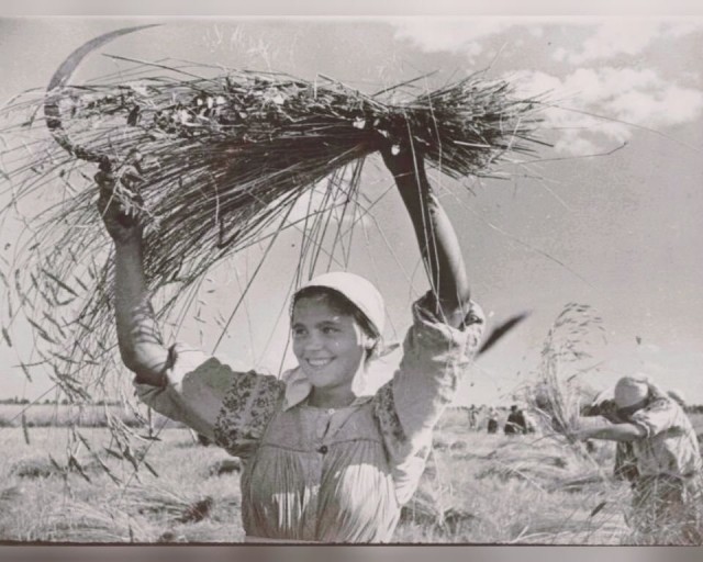 Уютное, домашнее
