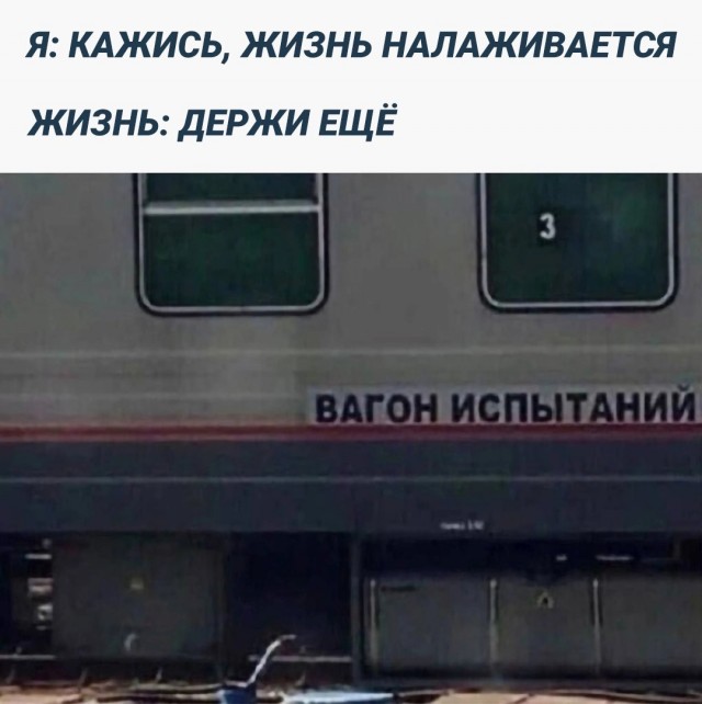Отряд быстрого деградирования