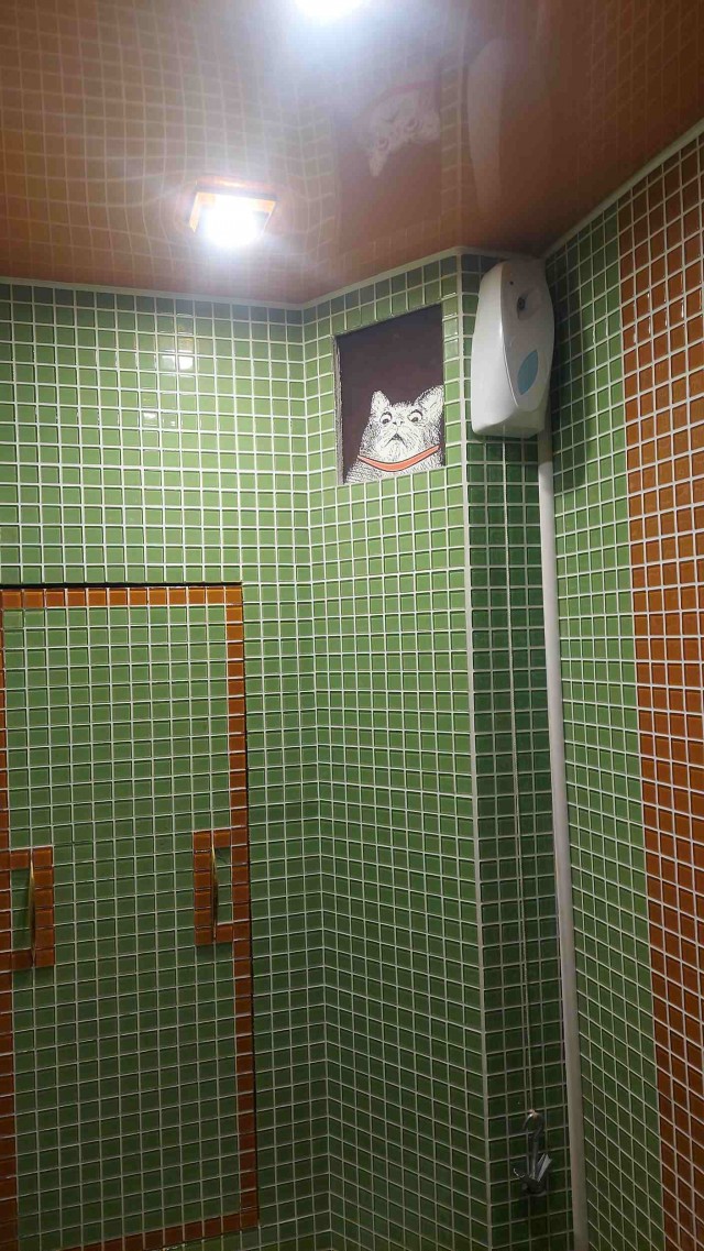 Обустройство ванной в каркасном доме в одни руки