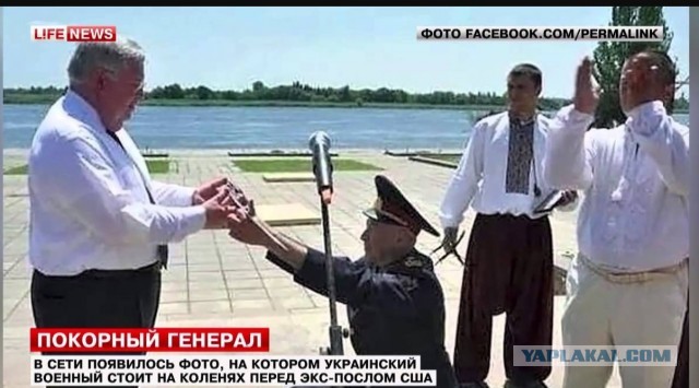 Фото дня!