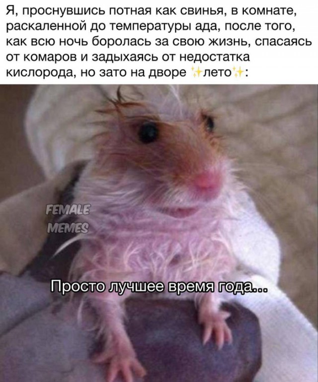 Сборник бабаянов или неожиданная помойка от Неждалигады