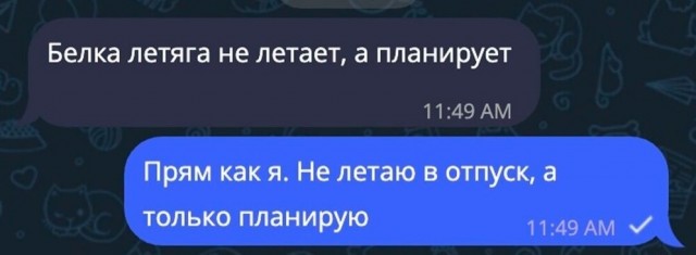 19248200.jpg