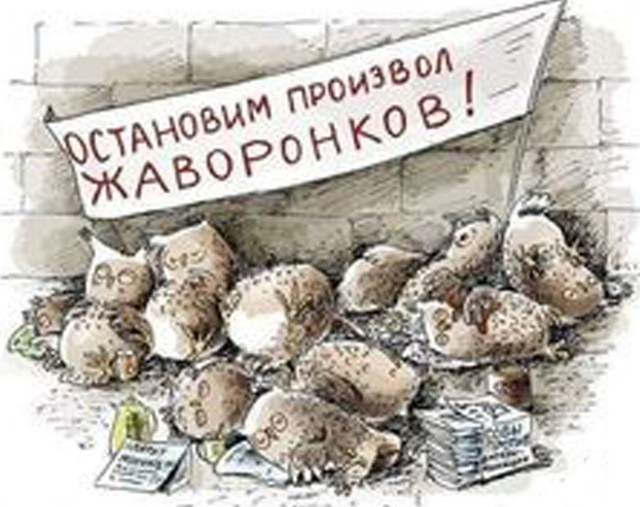 Так себе картинки 22.08.24