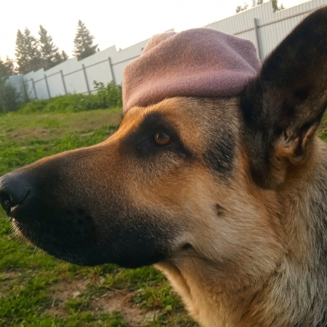 Девушка с жемчужной серёжкой