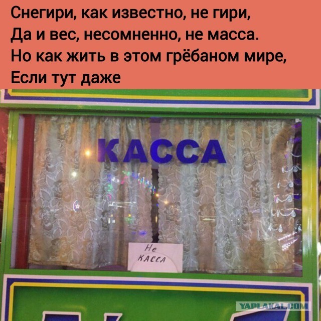 Картинки