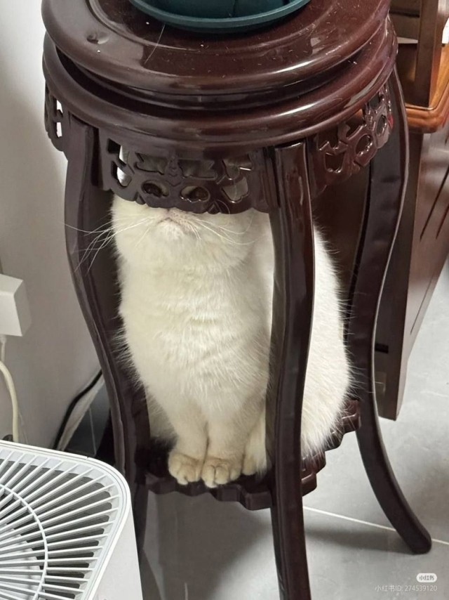 Так себе картинки 04.02.25