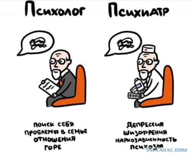 Иногда это мы путаем