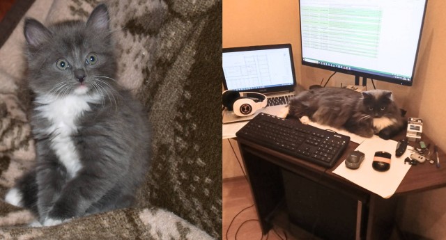 Генетика или воспитание?