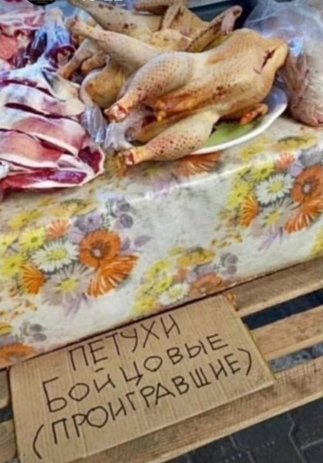 Иллюстрации
