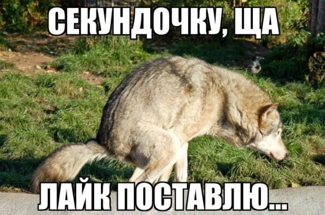 Когда жена говорит, что она не алкашка
