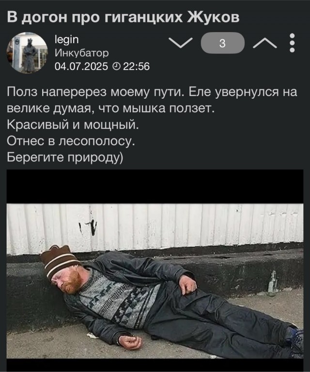В догон про гигантских Жуков