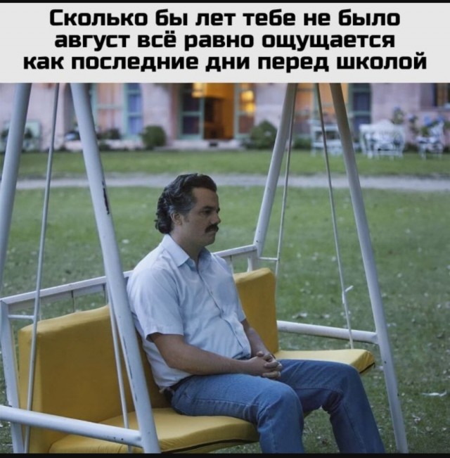 Так себе картинки 10.08.25