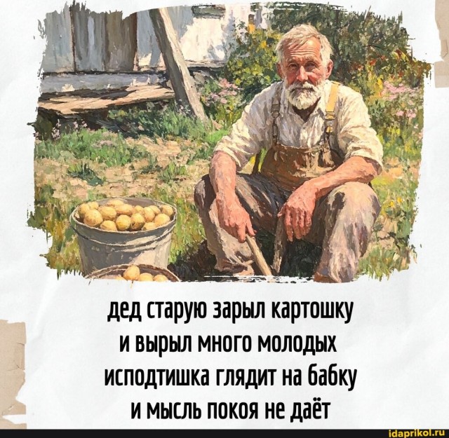 Так себе картинки 22.08.25