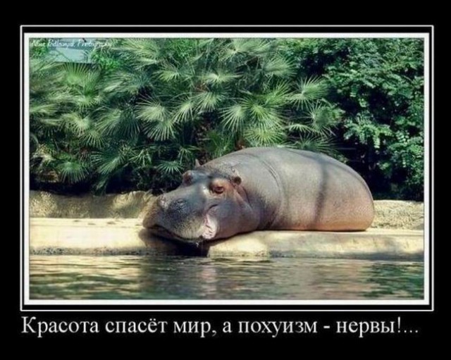 Почему я стал нервным...