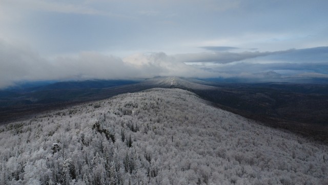 Айгир