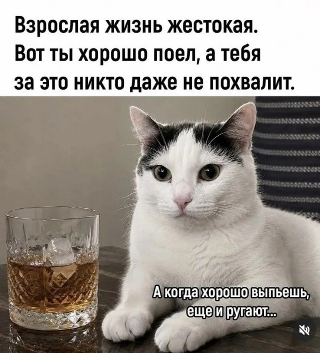 Картинки для деградации 236 (разной степени свежести)