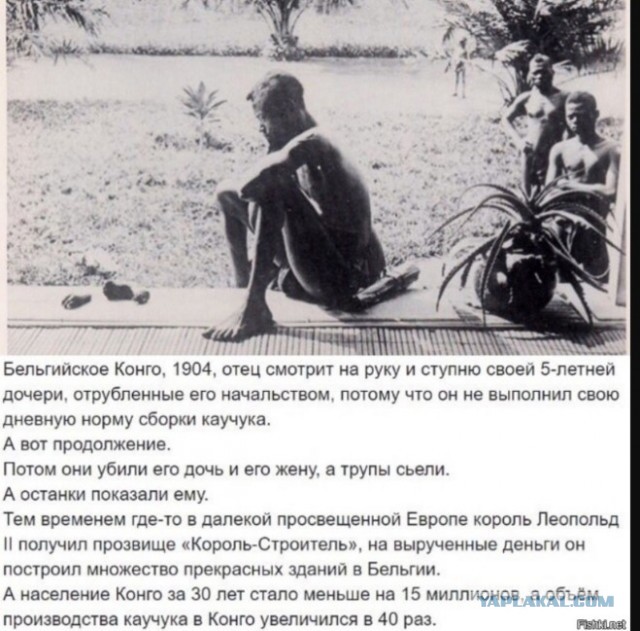 Дочь президента Эрдогана призвала к деколонизации Запада