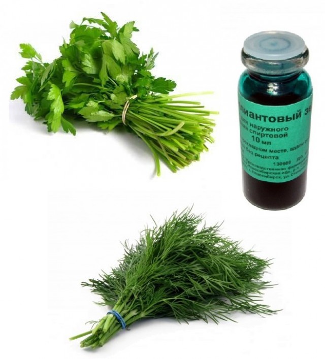 Островок социализма в Подмосковье.