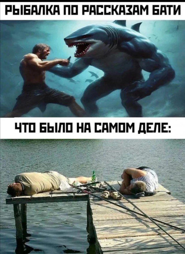 Картинки для деградации 295 (разной степени свежести)