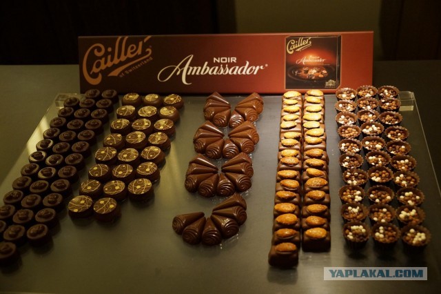 Поездка в Швейцарию