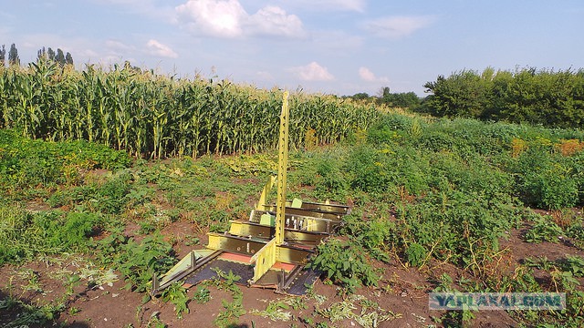 Чего испугалась англичанка