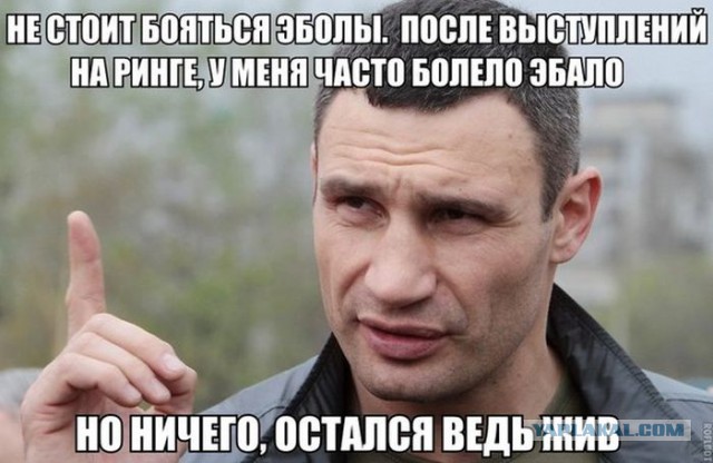 Картинки из интернетов